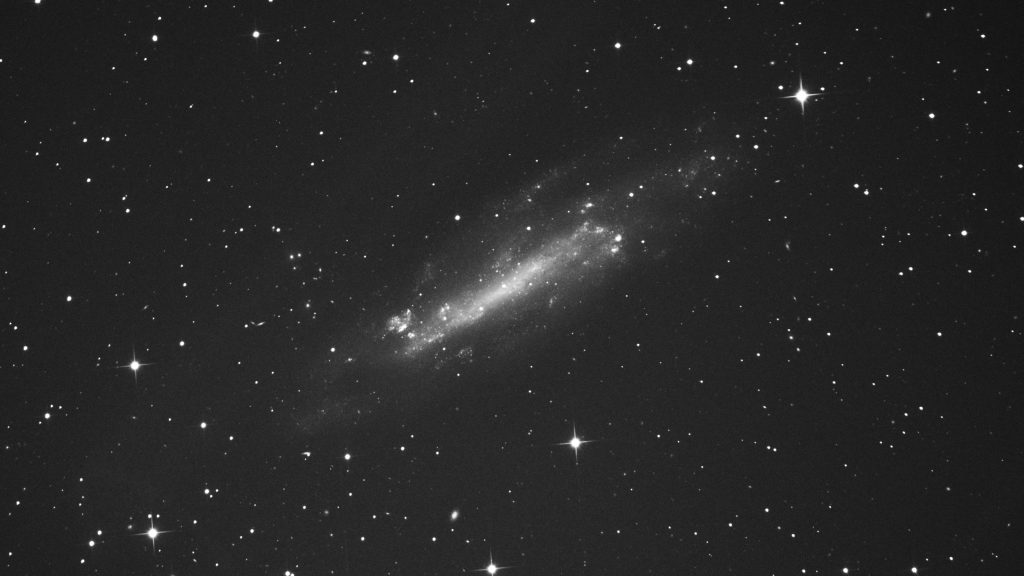UGC7306